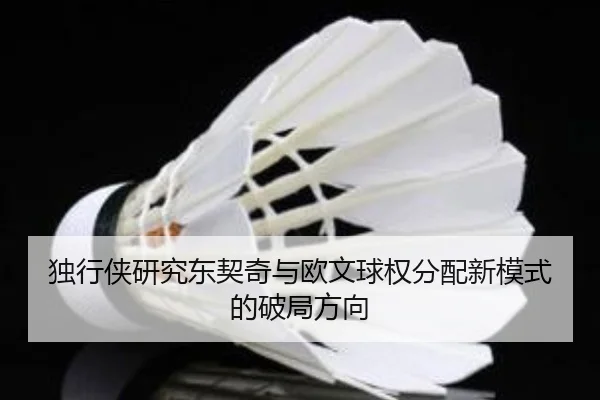 独行侠研究东契奇与欧文球权分配新模式的破局方向